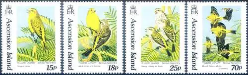 Fauna. Gelber Kanarienvogel 1993.