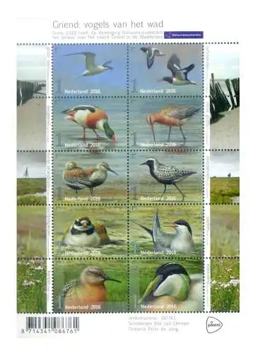 Holland. Naturschutz. Fauna. Wasservögel 2016.