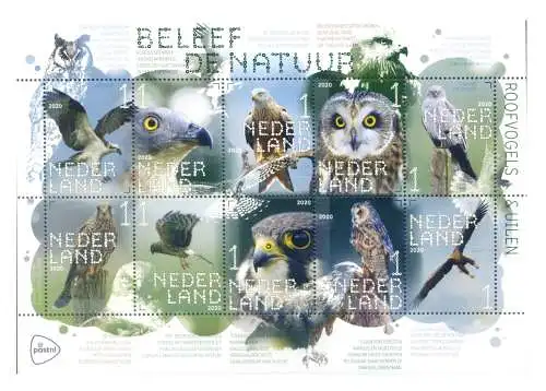Holland. Fauna. Greifvögel 2020. Bogen.