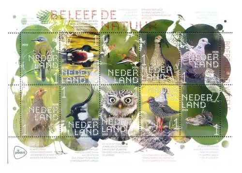 Holland. Fauna. Vögel landwirtschaftlicher Flächen 2020. Blatt.