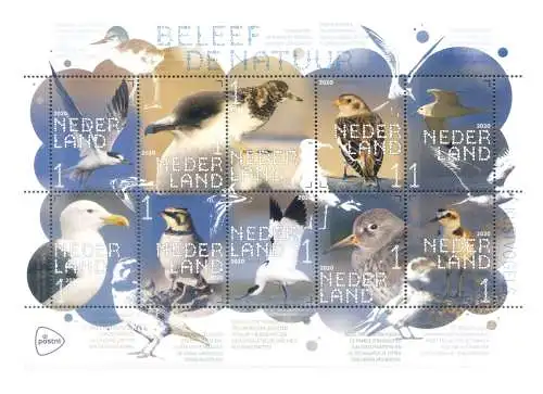 Holland. Fauna. Wasservögel 2020. Blatt.