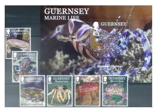 Guernsey. Meeresfauna 2014. Serie + Zettel.