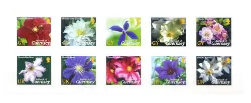 Guernsey. Flora. Blumen 2004.