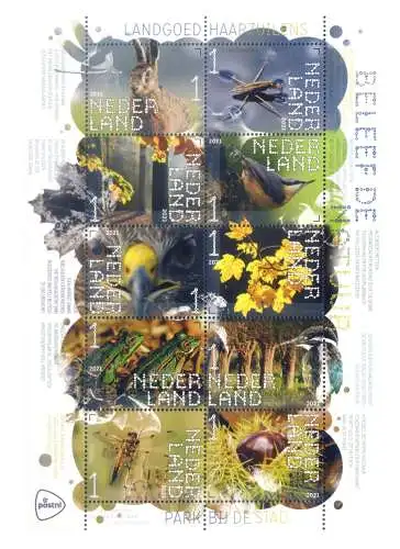 Holland. Flora und Fauna von Haarzuilens 2021. Bogen.