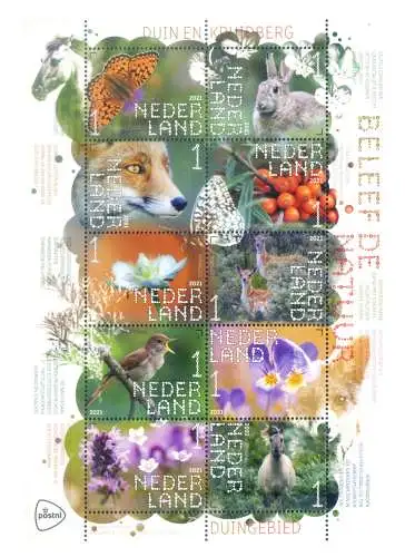 Holland. Flora und Fauna der Dünen 2021. Blatt.
