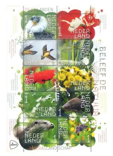 Holland. Flora und Fauna des Sumpfes 2021. Blatt.