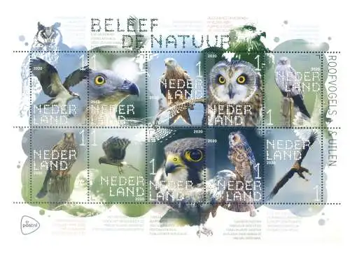 Holland. Fauna. Greifvögel 2020. Bogen.