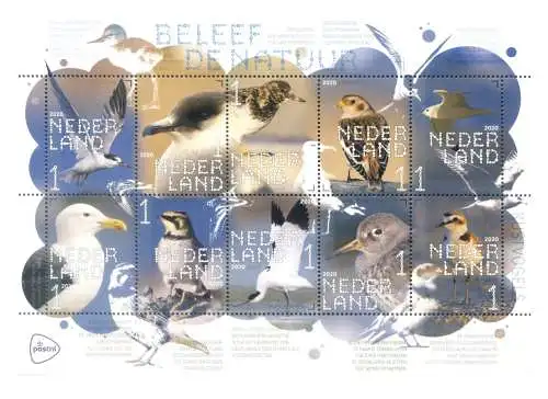 Holland. Fauna. Wasservögel 2020. Blatt.