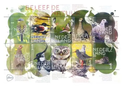 Holland. Fauna. Vögel landwirtschaftlicher Flächen 2020. Blatt.