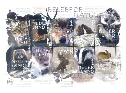 Holland. Fauna. Säugetiere 2019. Blatt.