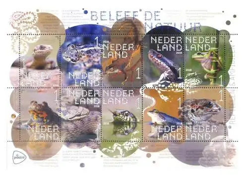 Holland. Fauna. Reptilien und Amphibien 2018. Blatt.