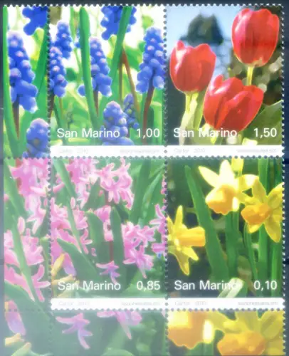 San Marino. Flora. Blumen 2010.