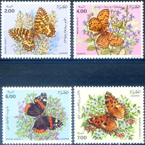 Algerien. Fauna. Farfalle 1991.