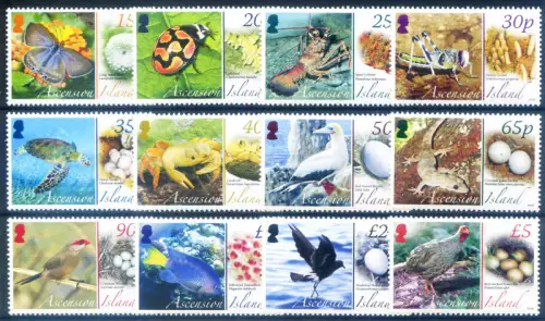 Aufstieg. Definitiv. Fauna 2008.