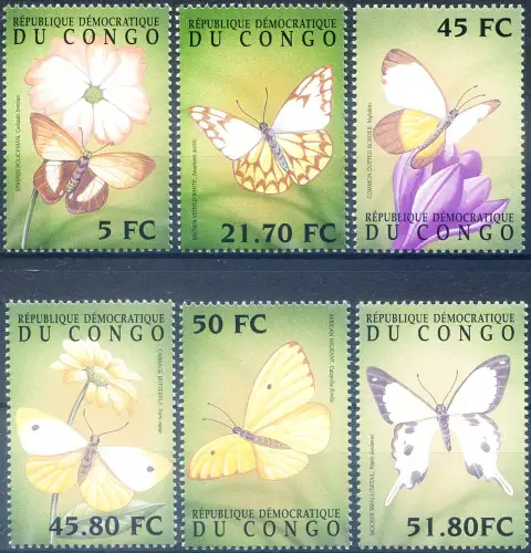 Kinshasa. Fauna. Farfalle 2001.