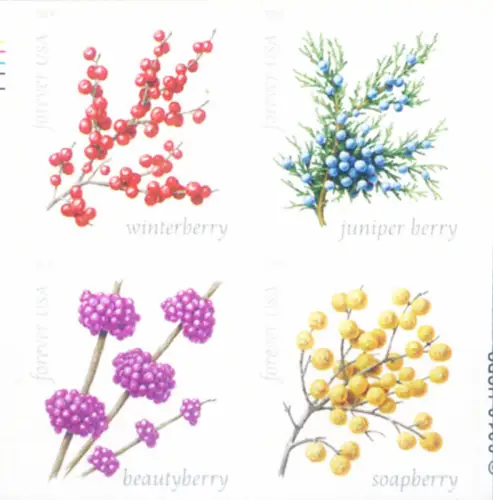 USA. Winterbeeren 2019 (selbstklebend, doppelseitig).