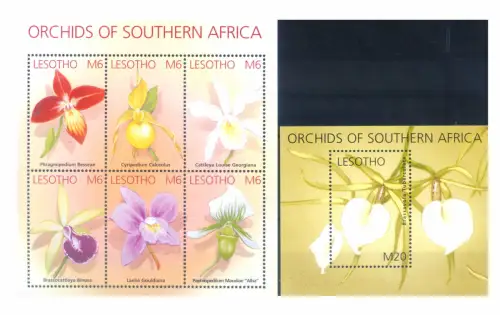 Lesotho. Flora. Orchidee 2002. Serie + Zettel.