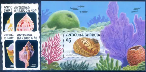 Antigua und Barbuda. Muscheln 1986. Serie + Zettel.