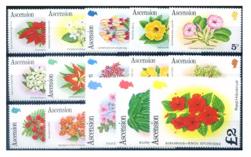 Aufstieg. Definitiv. Flora. Blumen 1981.