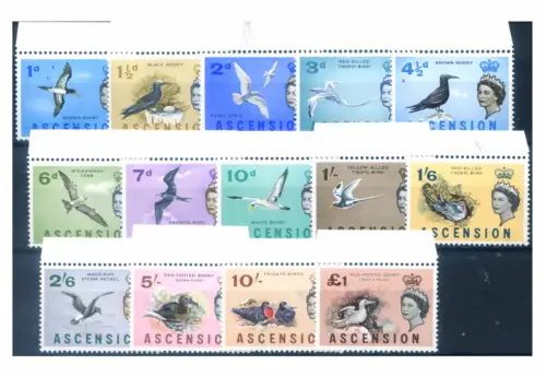 Aufstieg. Definitiv. Fauna. Vögel 1963.