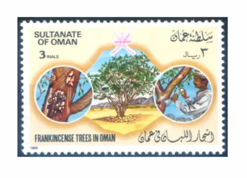 Oman. Räucherbaum 1985. Hoher Wert.