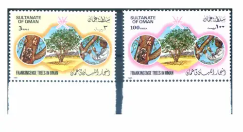 Oman. Räucherbaum 1985.