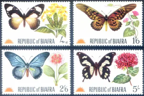 Biafra. Fauna. Farfalle 1968.