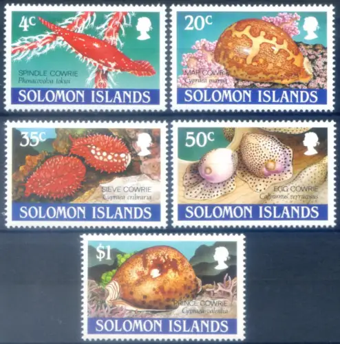 Isole Salomon. Muscheln 1990.