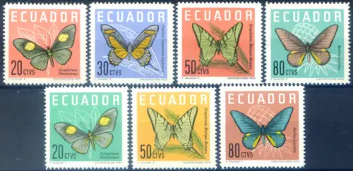 Ecuador. Fauna. Farfalle 1961-1964.
