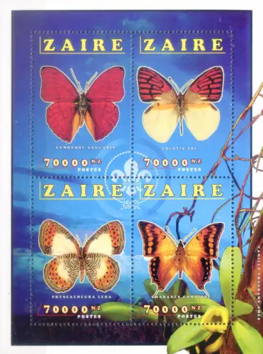 Zaire. Fauna. Farfalle 1996.