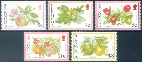 Bermuda. Obst 1994.