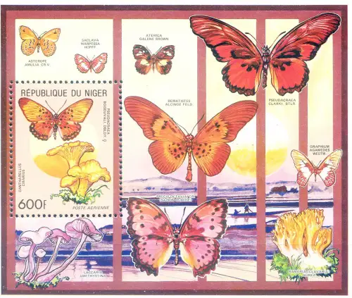 Fauna. Farfalle 1991.