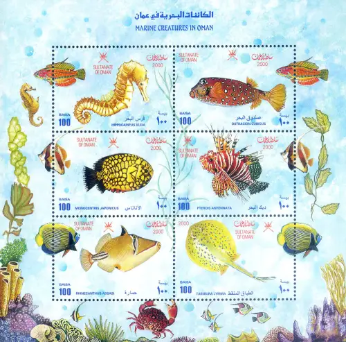 Oman. Meeresfauna 2000. Zettel.