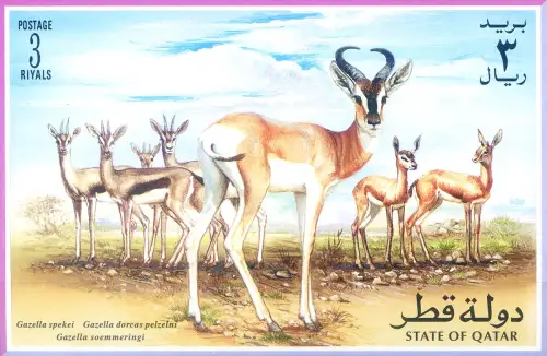 Katar. Fauna. Gazzelle 1996. Bogen.