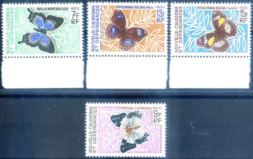 Fauna. Farfalle 1967-1968.