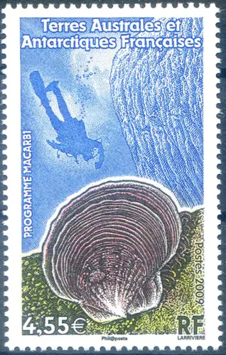 Macarbi Programm 2009.