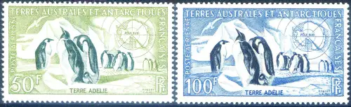 T.A.A.F. Fauna. Kaiserpinguine 1956.