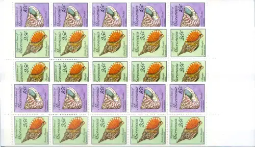 Definitiv. Muscheln 1989.