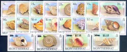 Definitiv. Muscheln 1988.