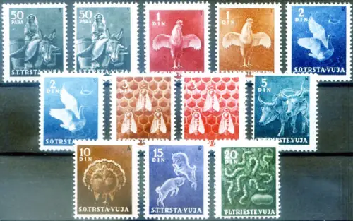 Triest Zone B. Fauna. Haustiere 1950.