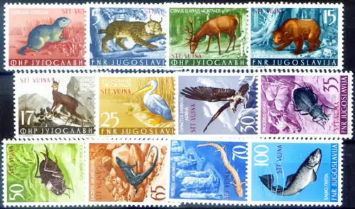 Triest Zone B. Fauna 1954.