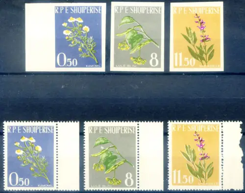 Albanien. Flora. Blumen 1962. Serie gezahnt + ungezähnt.