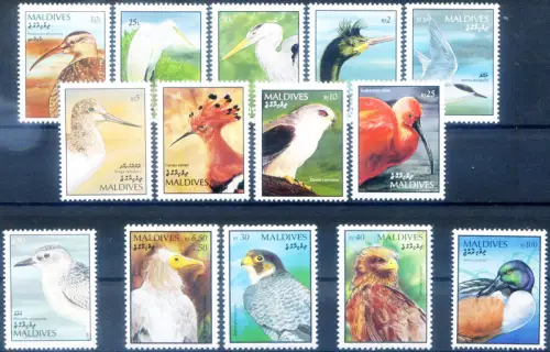 Malediven. Definitiv. Vögel 1992-1998.