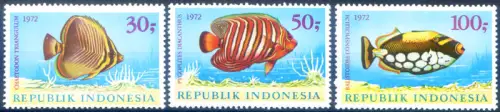 Indonesien. Fauna. Fische 1972.