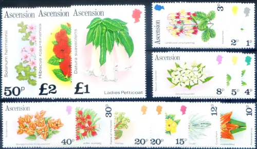 Aufstieg. Definitiv. Flora. Blumen 1981. Mit Vielfalt.