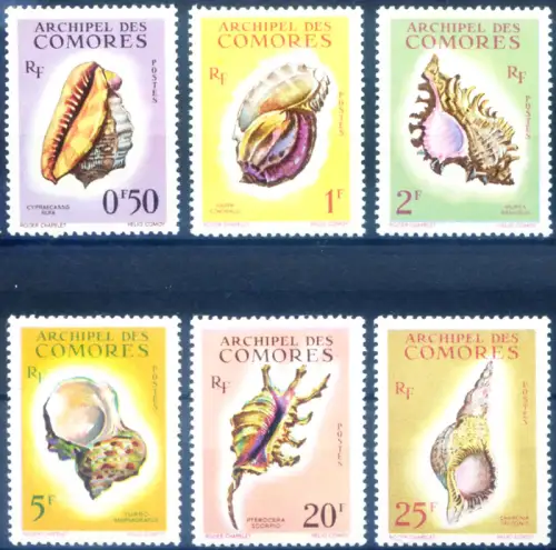 Komoren. Muscheln 1962.