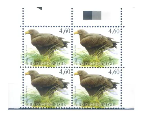 Belgien. Definitiv. Fauna. Vögel 2009. 4er Block.