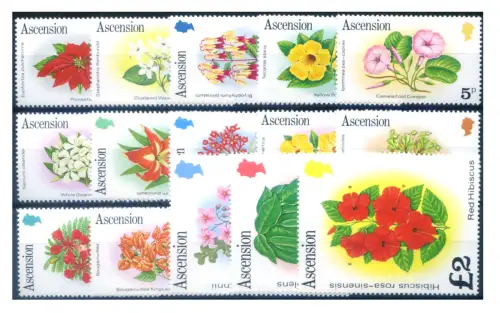 Aufstieg. Definitiv. Flora. Blumen 1981.