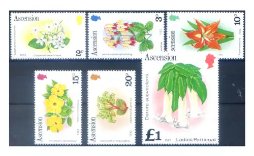 Aufstieg. Definitiv. Flora. Blumen 1982.