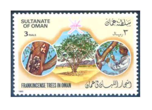 Oman. Räucherbaum 1985. Hoher Wert.